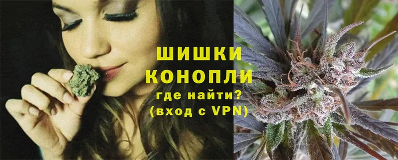 Канабис OG Kush  Зима 